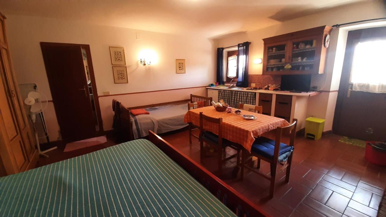 Artenatura BeB Terranuova Bracciolini Bagian luar foto