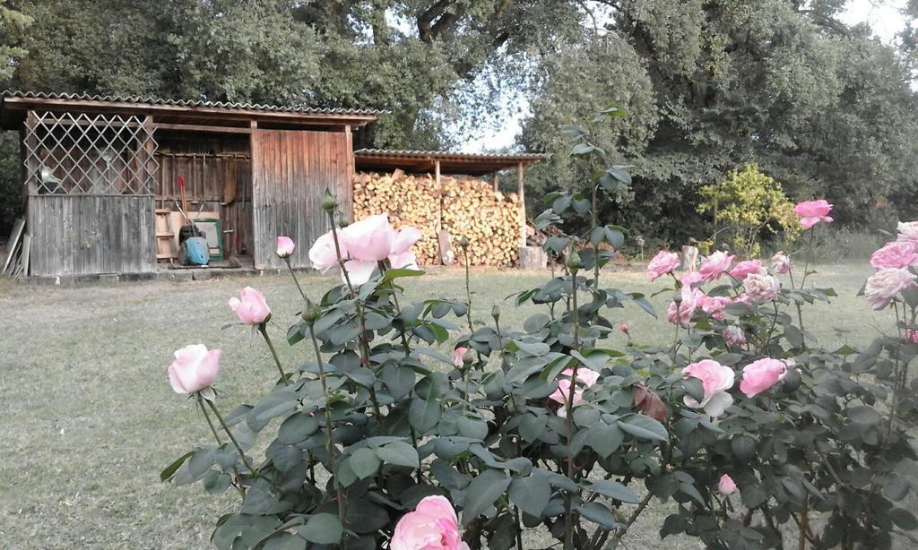 Artenatura BeB Terranuova Bracciolini Bagian luar foto