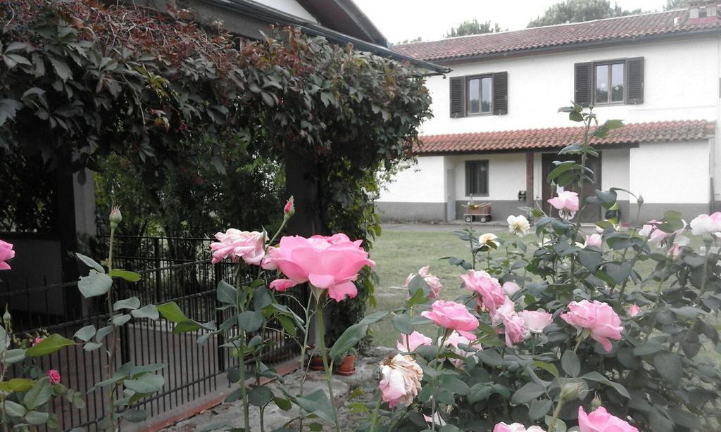 Artenatura BeB Terranuova Bracciolini Bagian luar foto