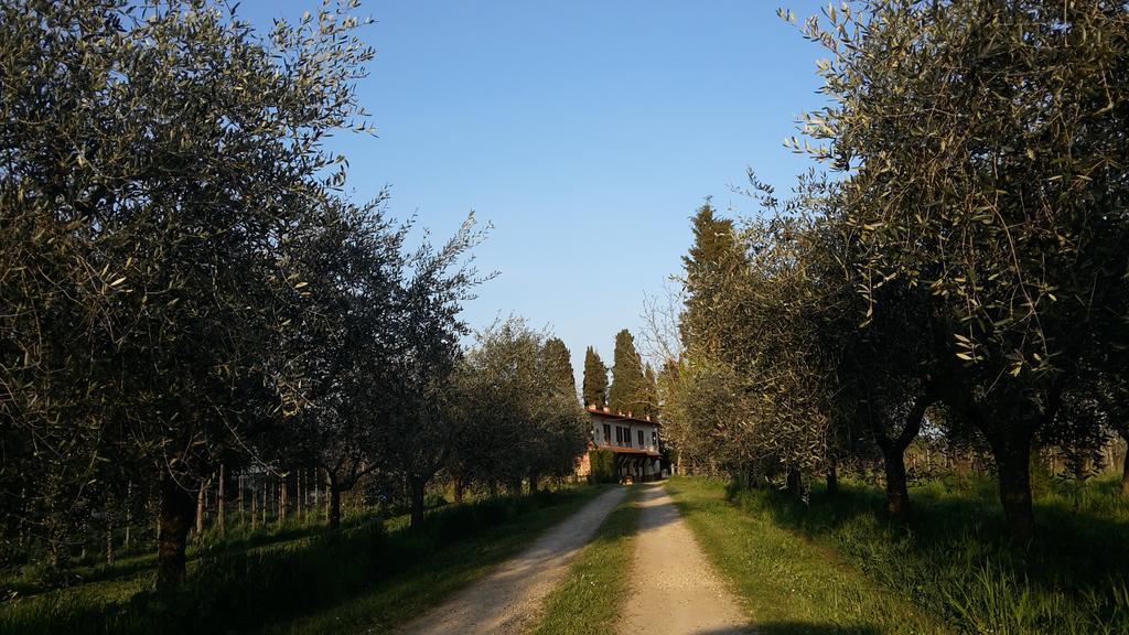 Artenatura BeB Terranuova Bracciolini Bagian luar foto