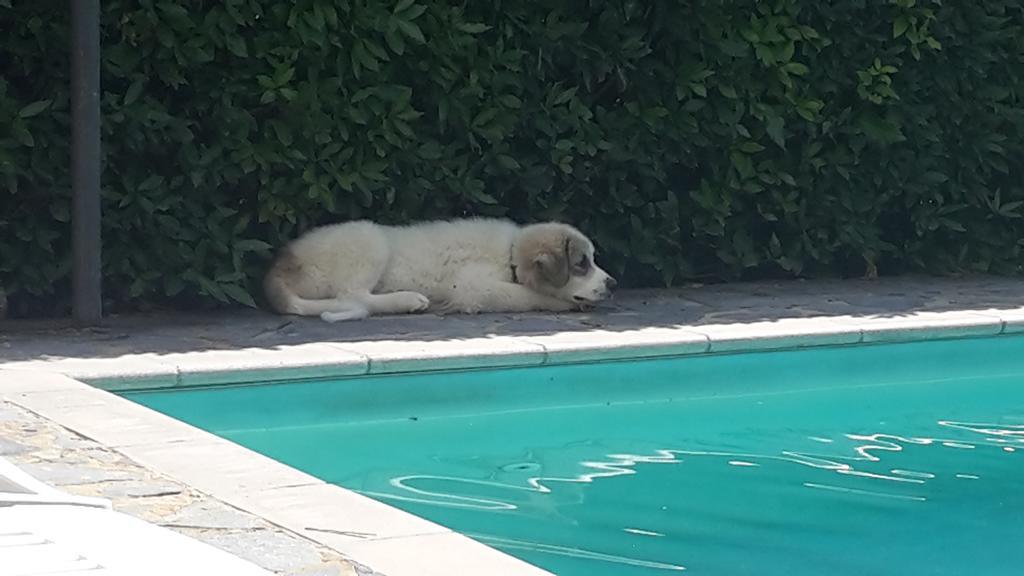 Artenatura BeB Terranuova Bracciolini Bagian luar foto