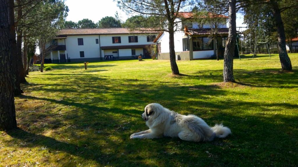 Artenatura BeB Terranuova Bracciolini Bagian luar foto