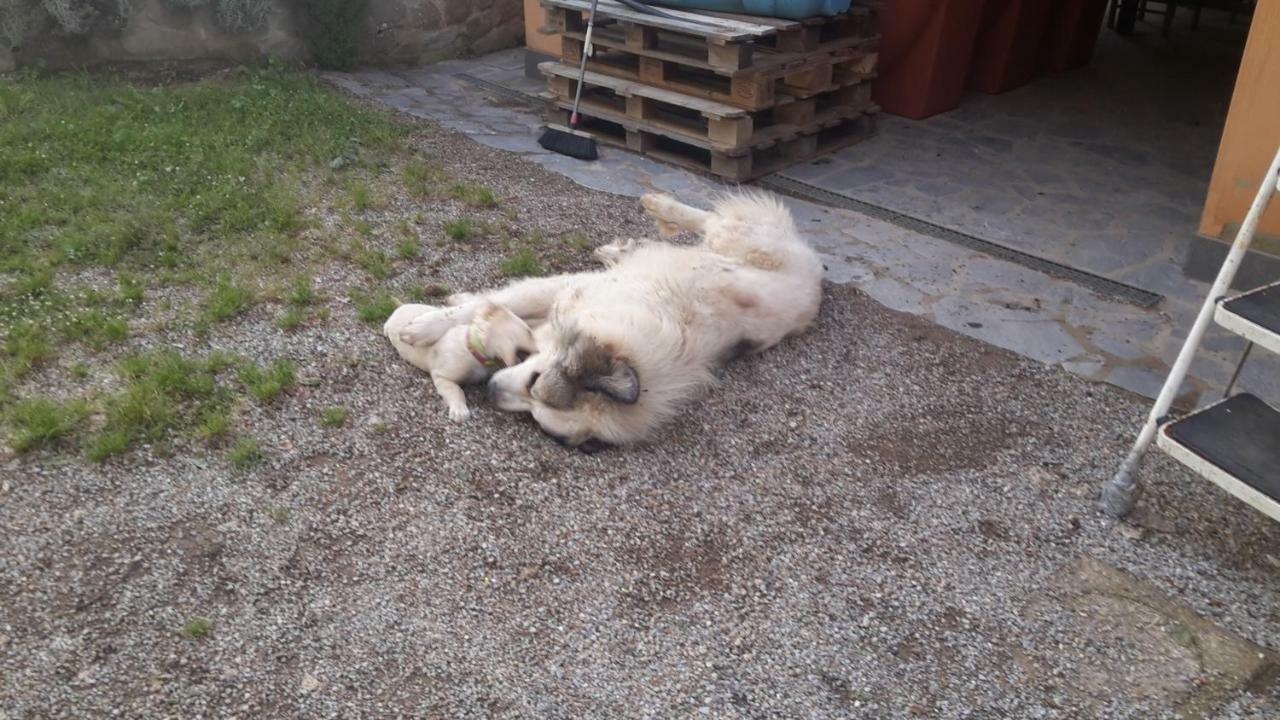 Artenatura BeB Terranuova Bracciolini Bagian luar foto