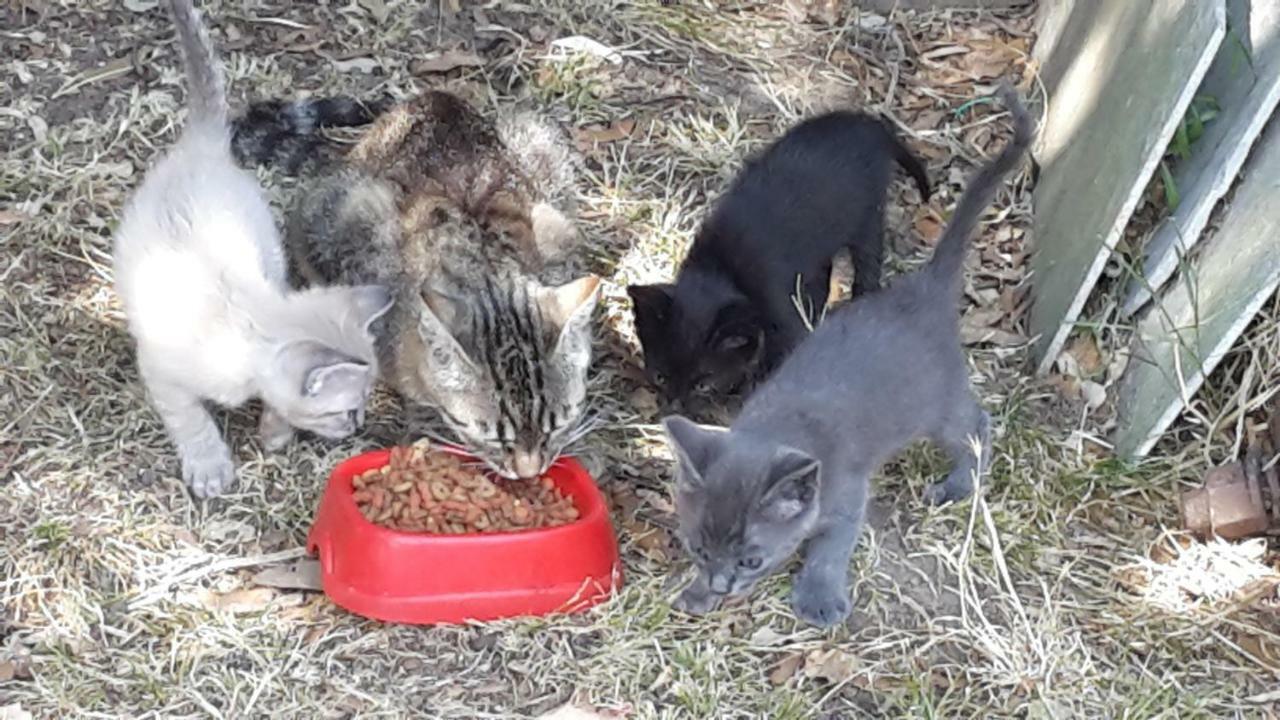 Artenatura BeB Terranuova Bracciolini Bagian luar foto